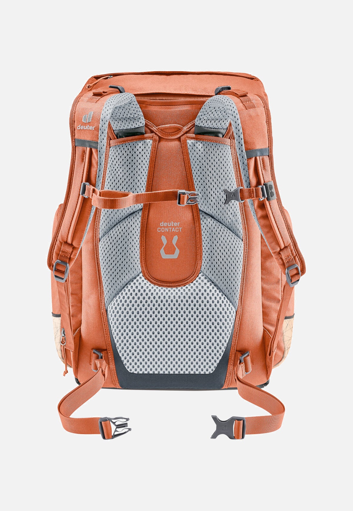 Deuter Scula Chestnut/Blush Rucksack
